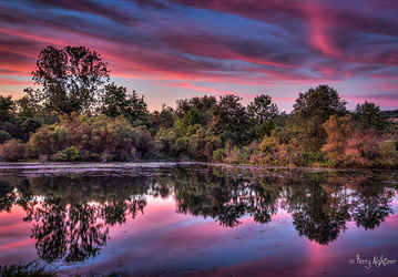 Cherry Of A Reflection By Terry Aldhizer